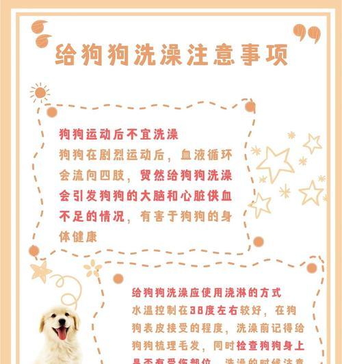 冬季狗狗洗澡指南（宠物饲主必看的冬季狗狗洗澡时间、注意事项及保健方法）