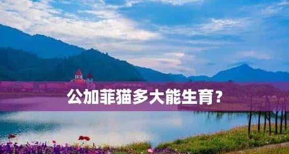 公猫做绝育的最佳时机（了解公猫绝育的重要性，选定适当时间进行手术）