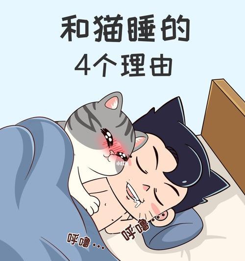和猫咪一起共眠的好处（如何与猫咪共眠安眠一夜）