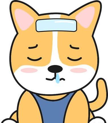 如何应对幼犬感冒？（幼犬感冒症状及处理方法）