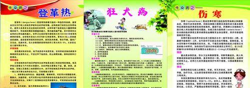 狂犬病的传播途径与预防措施（了解狂犬病的传播途径，保护自己和家人的健康）