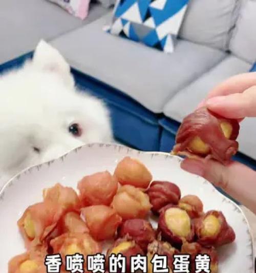 狗狗能天天吃蛋黄吗？（了解狗狗食物习惯与蛋黄的影响）