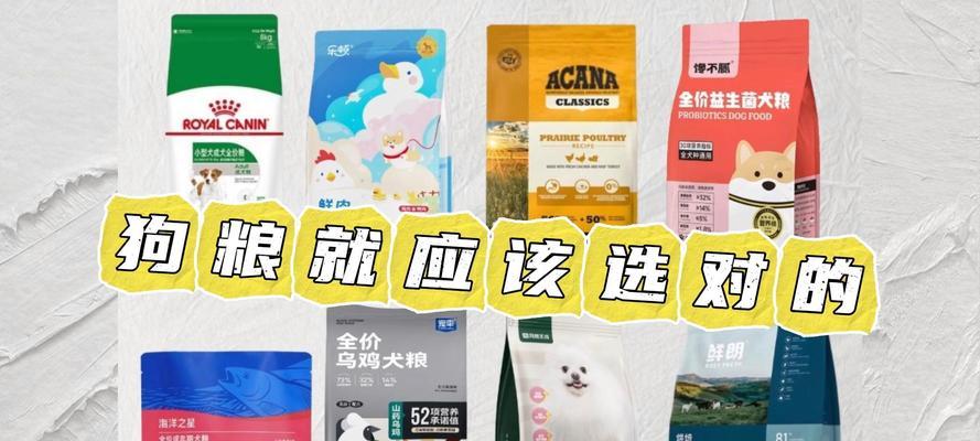如何选择适合狗狗的狗粮（解答狗粮9大常见问题，让你的爱宠更健康）
