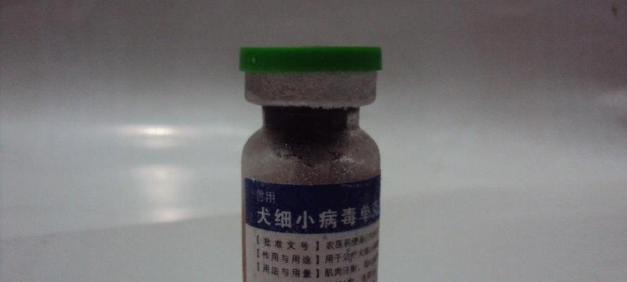 宠物细小病毒的危害与防控（哪些宠物容易感染细小病毒及其防控措施）