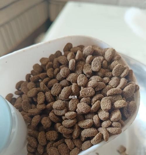 哈士奇宝宝的科学喂养指南（三个月大的哈士奇宝宝应该吃多少狗粮？）