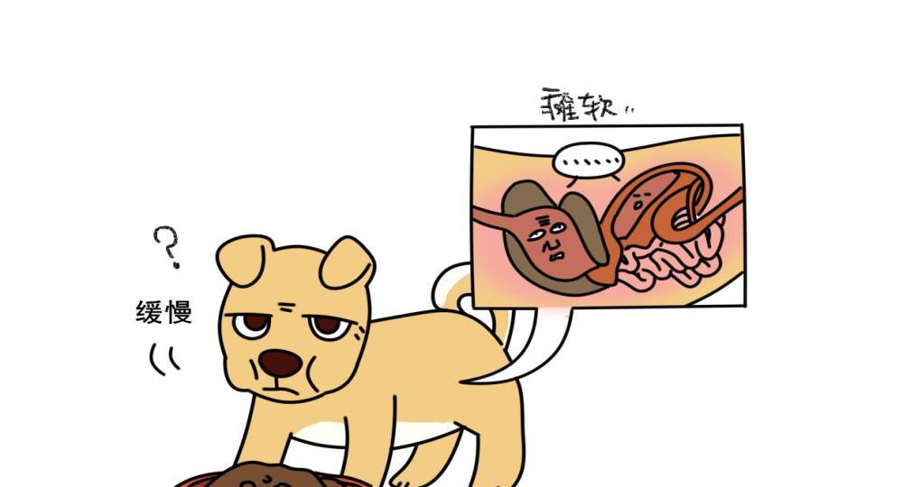 揭秘狗狗不喜欢吃东西的原因（狗狗不爱吃饭，是挑食还是其他问题？）