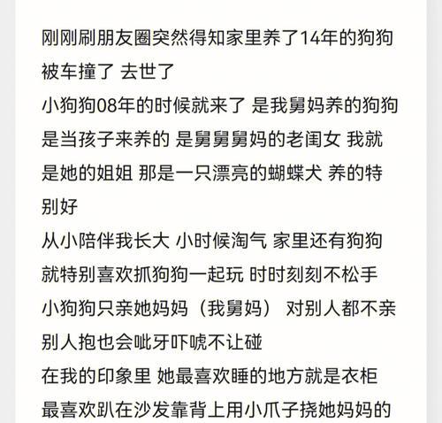 科学处理狗狗死后的方式（尊重与纪念宠物伙伴的终章）