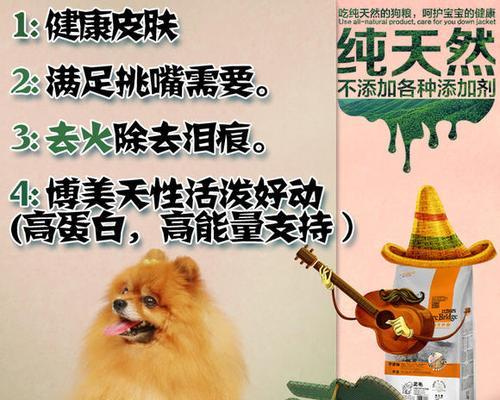 博美狗狗的适量饮食和喂养方法（了解博美狗狗的食物需求，健康喂养你的小伙伴）