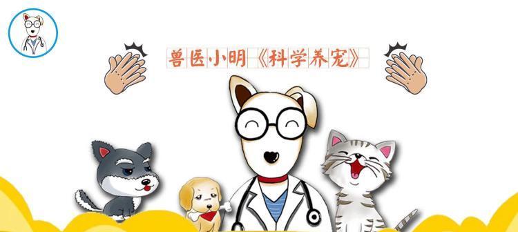 狗狗每天吃一个鸡蛋，对身体好不好？（兽医告诉你真相，适量补充蛋白质是否有益？）