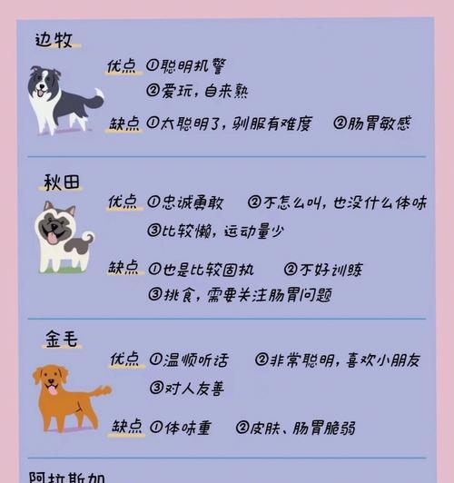 新手养狗的必备指南（学会正确的处理方式，帮助宠物恢复健康）