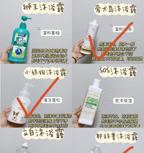 泰迪洗澡的注意事项（泰迪洗澡的最佳时机与注意事项）