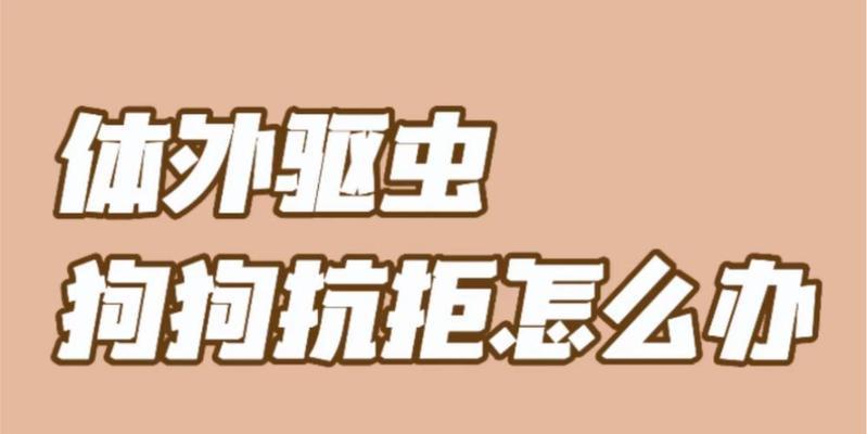 狗狗驱虫（驱虫时间和频率详解，助您正确保护您的爱宠）