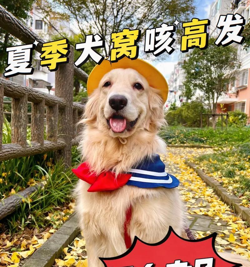 狗狗多大就可以开始驱虫了？（合适的驱虫时机和方法）