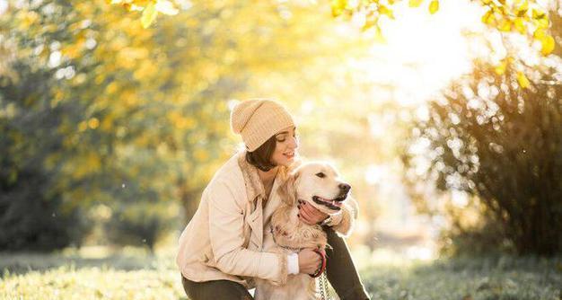 养拉布拉多犬的注意事项（养宠物犬需了解的关键事项）