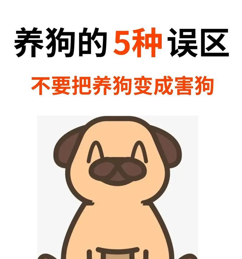 养狗需谨慎！这3种狗不建议碰，有钱也别养（为了你和狗狗的幸福，请谨慎选择宠物伴侣）