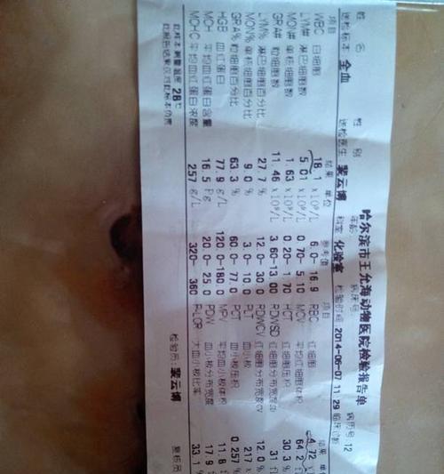 狗狗体温异常怎么办？（了解狗狗体温的正常范围及处理异常情况）