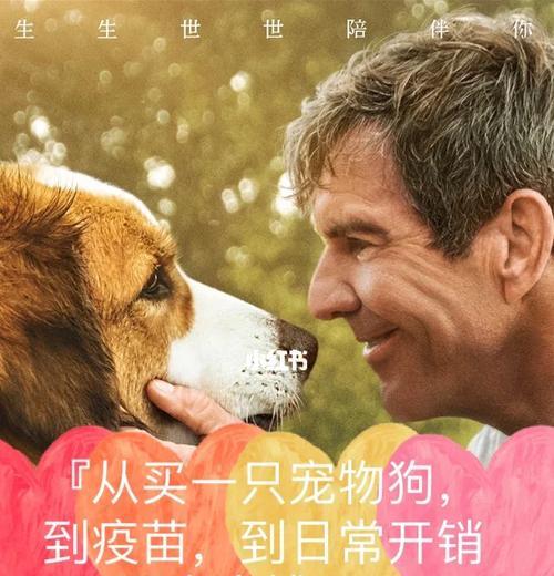 揭秘宠物狗价格的真相（买贵了还是捡了便宜？八种常见宠物狗价格大揭秘）