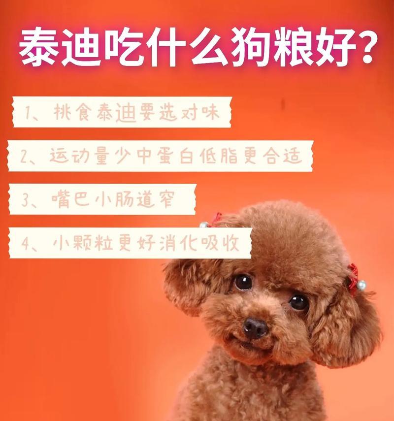 幼犬泰迪的饲养（为你的小泰迪提供最佳的饮食方式）