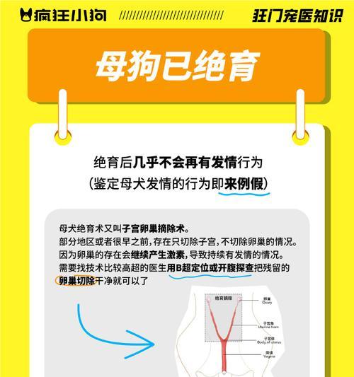 养狗绝育的利与弊（合适时机及注意事项）