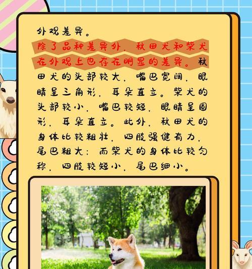 探寻秋田犬的多样品种和价格（了解秋田犬的变种和适合家庭的选择）