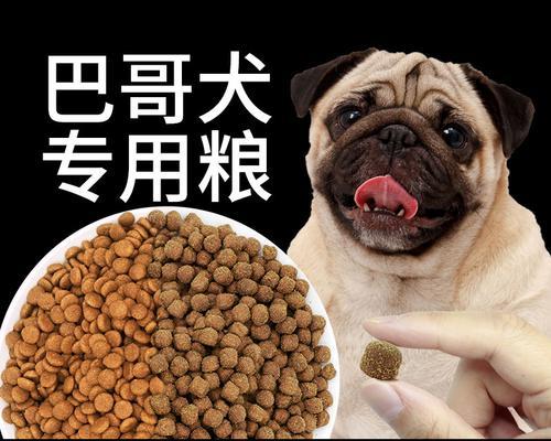 巴哥犬价格与影响因素解析（探究巴哥犬价格的多样性及其影响因素）
