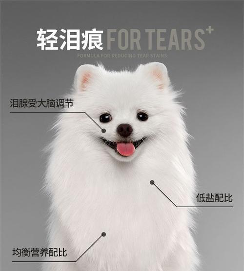 宠物博美的饮食管理（每天喂4次，）