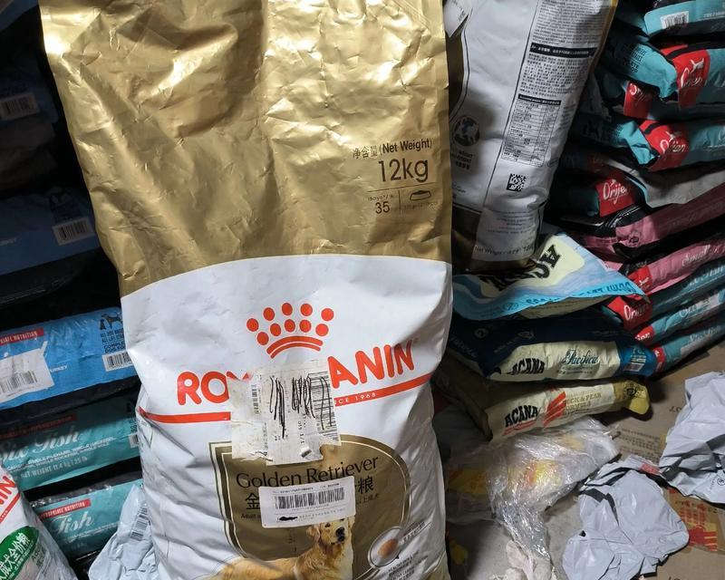 金毛成年犬每日适量喂食是关键（掌握狗粮喂食量，宠物健康无忧）
