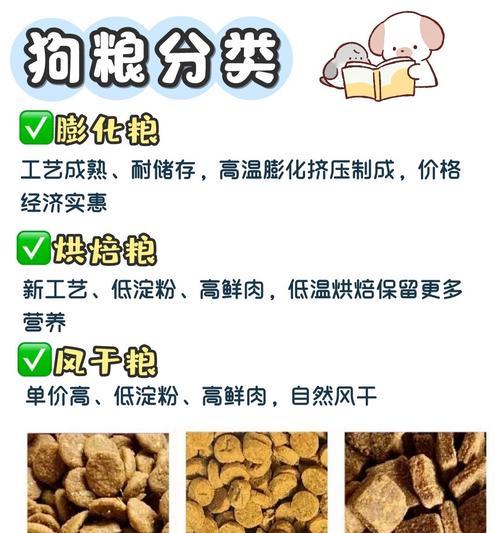 如何正确喂养不同年龄段的狗狗？（讲究狗狗的饮食习惯，给予恰当的营养摄入）