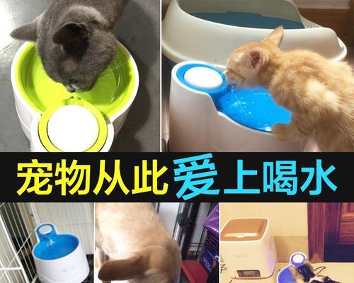 狗狗的排尿频率与喝水量之间的关系（每天上厕所次数取决于狗狗喝水量的多少）