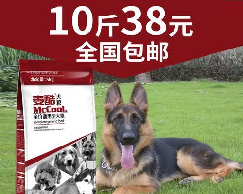 纯种德国牧羊犬的价格及养育要点（探索纯种德国牧羊犬市场，了解价格趋势与养育技巧）