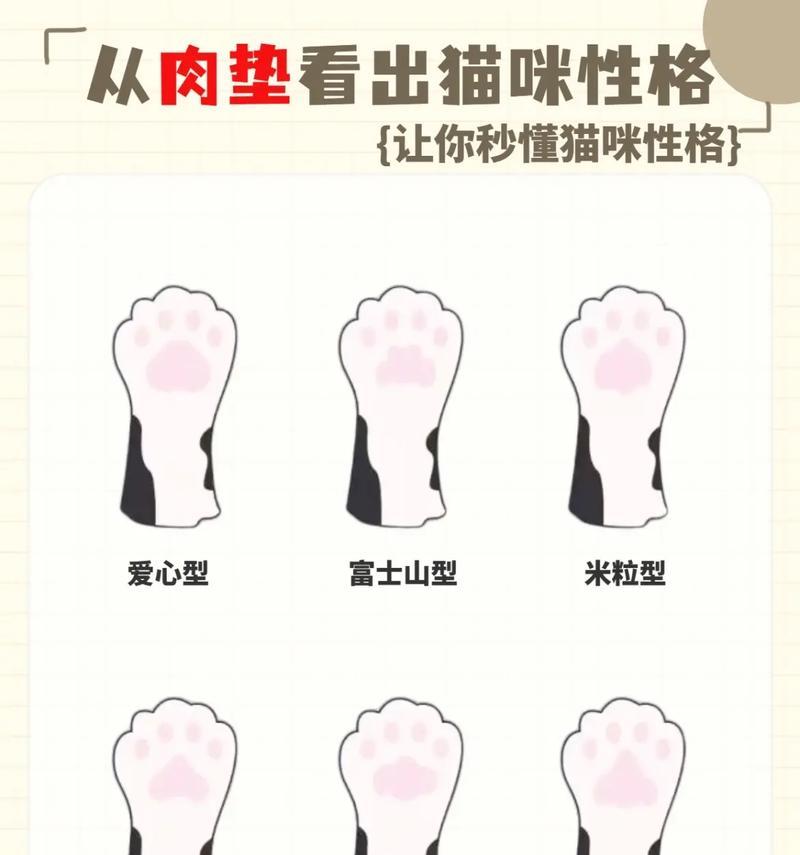 猫咪乐园（挑选适合你的猫咪伴侣，一览宠物猫的品种特点与关键信息）