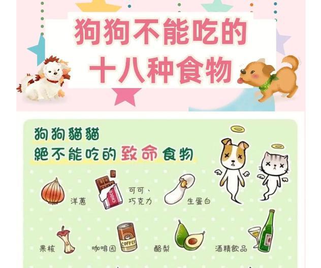 为狗狗的健康着想（科学饲养方式，让狗狗更健康）