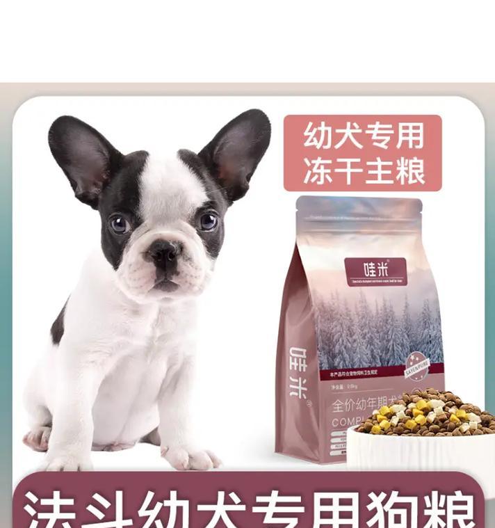 喂养法国斗牛犬幼犬的基本常识（掌握关键信息，给你的幼犬提供良好的护理）