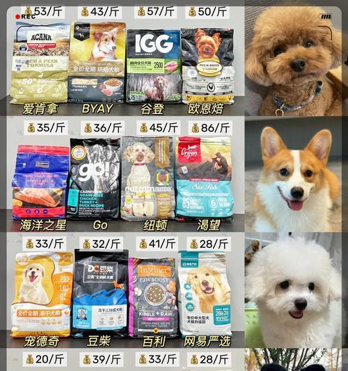 小心！这些食物让狗狗上瘾，以铲屎官要注意了！（为保护狗狗健康，铲屎官必须知道的禁食食品清单）