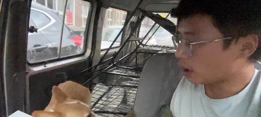 给狗做绝育的重要性（解读绝育的真相，保护狗狗的健康与幸福）