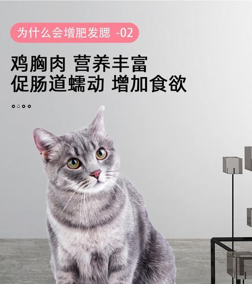 狗狗的健康饮食指南（鸡胸肉是否适合狗狗食用？最健康的食物选择是什么？）