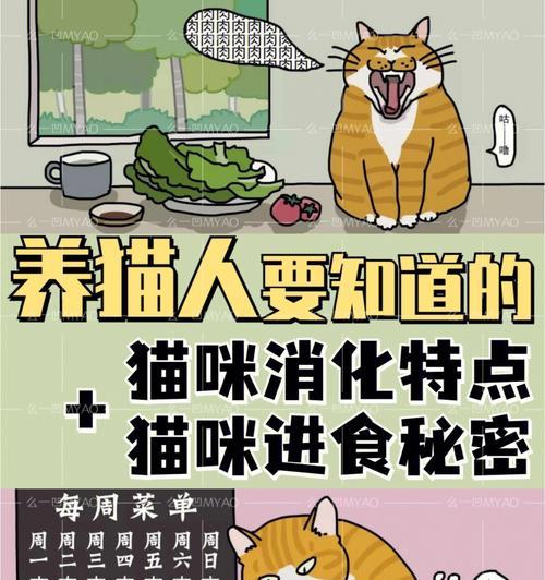 小猫咪的养育指南（以一个月左右的小猫咪为例，如何正确养育）