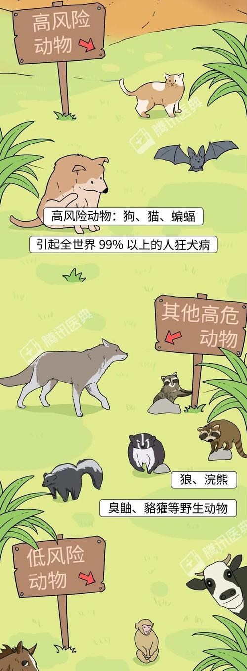 狗狗疫苗接种时间和原因解析（了解狗狗疫苗接种的关键时机和重要性）