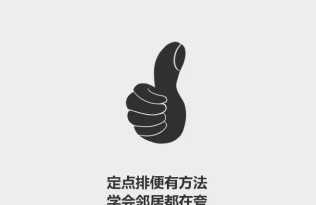 训练猫咪定点排便的有效方法（培养猫咪良好的如厕习惯和定点排便技巧）