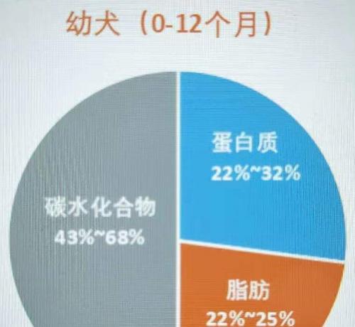 狗狗的饮食需求（为你的成年狗狗提供适当的饮食是多么重要）