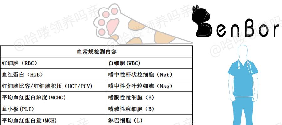 宠物体检的费用和项目详情（了解宠物体检所需花费及项目内容，为宠物健康保驾护航）