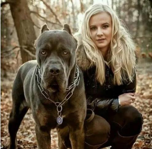 大型犬比小型犬更省钱的日常花销计算（为什么养大型犬不一定比养小型犬花更多钱？）