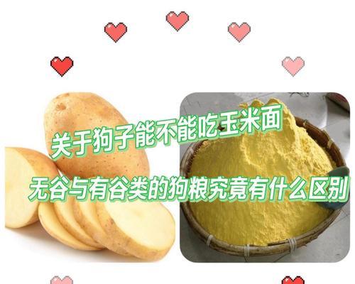 科学喂养狗子的正确狗粮量（遵循专家推荐，让宠物健康成长）