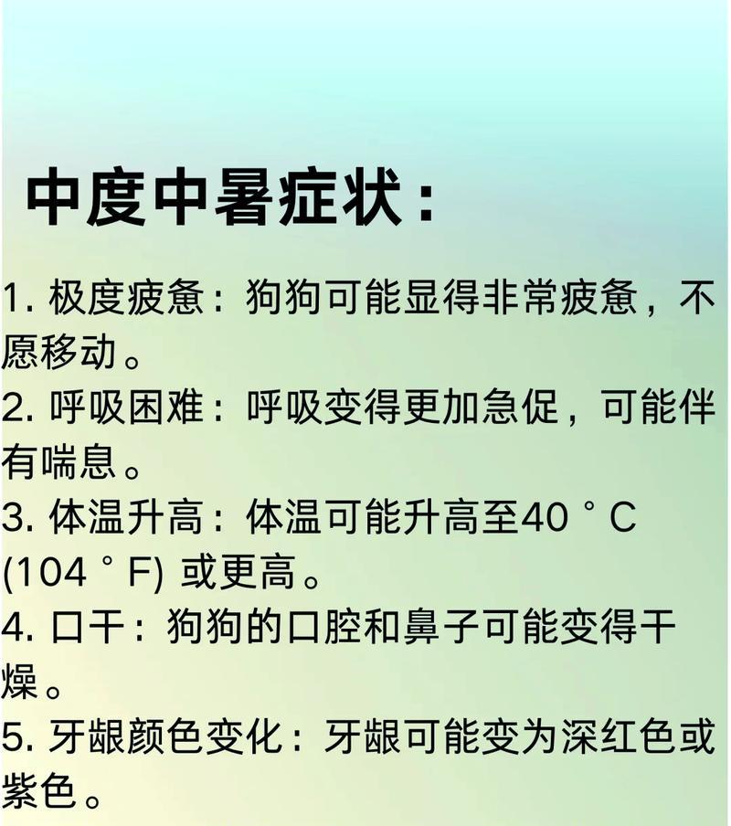 五类狗最容易中暑的原因及降温方法（了解这五类狗容易中暑的原因，让它们保持凉爽夏日）