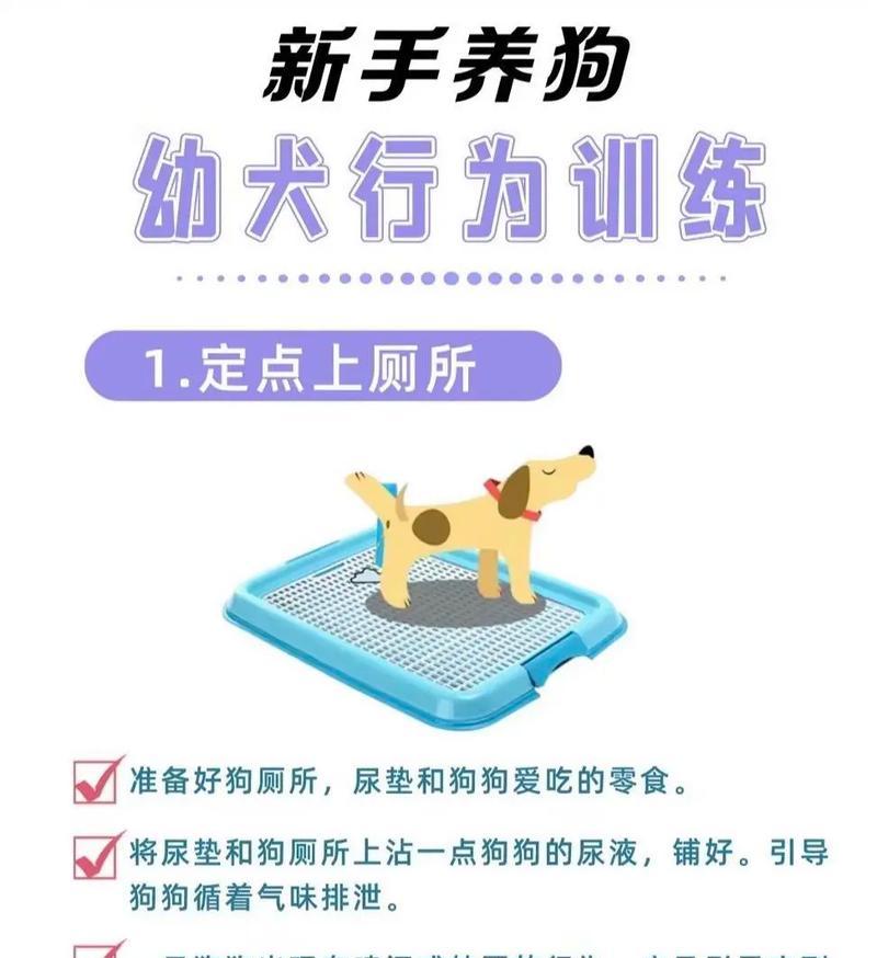 新手养狗指南（选择合适的狗种，让你成为合格的狗主人）