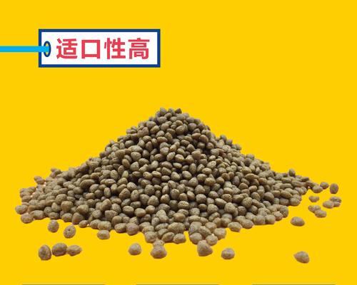 合理控制泰迪狗狗狗粮摄入量，（根据狗狗的运动量和排便量合理安排每月狗粮摄入量）