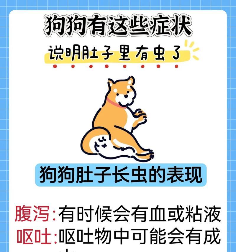 如何正确驱虫保护你的爱犬（狗狗驱虫的注意事项和步骤）