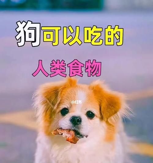 狗狗最爱吃什么食物？（揭秘狗狗心头好，这些食物不可错过）
