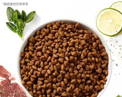 泰迪犬的月食主粮（探究泰迪犬食谱的重要性）