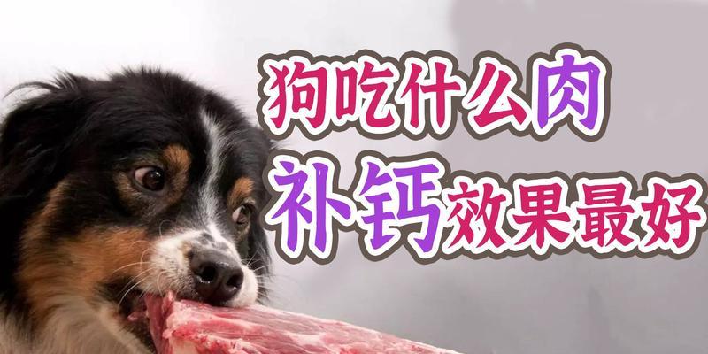 狗食欲差怎么办？寻找适合的食物解决问题（缺乏食欲的狗该吃什么？提供营养丰富的食物恢复食欲）